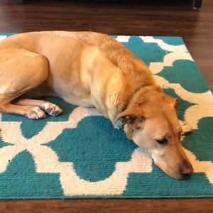 Meet your Posher, Kimberley